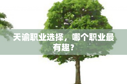 天谕职业选择，哪个职业最有趣？
