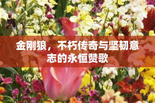 金刚狼,不朽传奇与坚韧意志的永恒赞歌 金刚狼,不朽传奇与坚韧意志的永恒赞歌