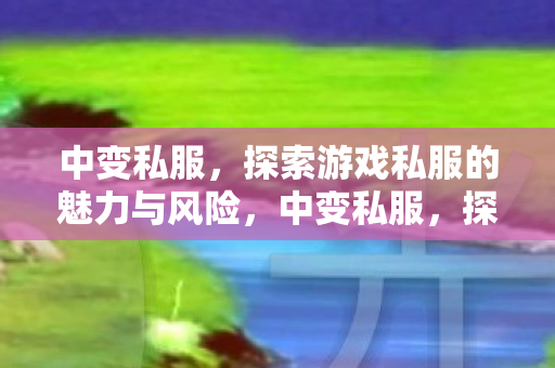 探索游戏私服的魅力与风险并存图片