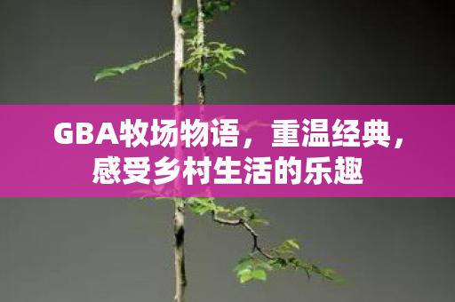 GBA牧场物语,重温经典,感受乡村生活的乐趣 GBA牧场物语,重温经典,感受乡村生活的乐趣
