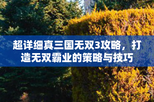 超详细真三国无双3攻略，打造无双霸业的策略与技巧