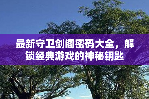 最新守卫剑阁密码大全,解锁经典游戏的神秘钥匙 最新守卫剑阁密码大全,解锁经典游戏的神秘钥匙