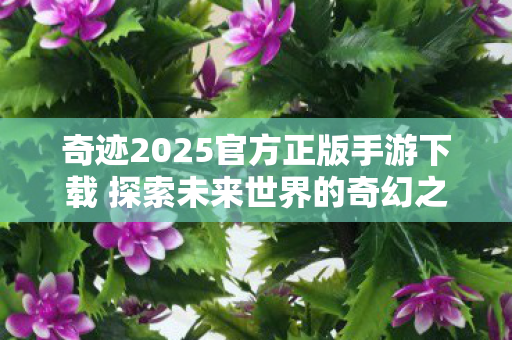 奇迹2025官方正版手游下载 探索未来世界的奇幻之旅图片