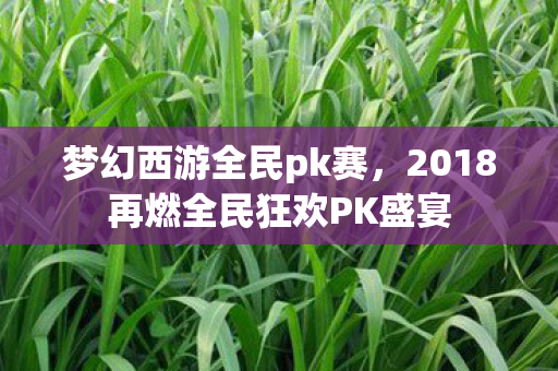 梦幻西游全民pk赛,2018再燃全民狂欢PK盛宴 梦幻西游全民pk赛,2018再燃全民狂欢PK盛宴