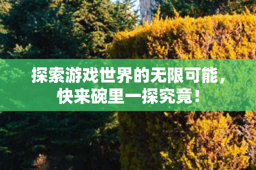 探索游戏世界的无限可能图片