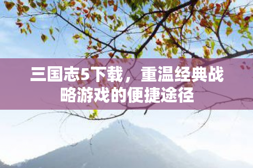 重温经典战略游戏的便捷途径图片
