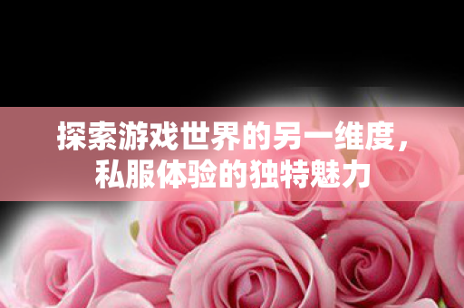 探索游戏世界的另一维度图片