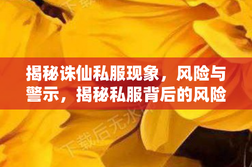 揭秘私服背后的风险与警示图片
