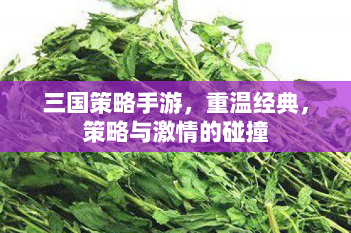 三国策略手游,重温经典,策略与激情的碰撞 三国策略手游,重温经典,策略与激情的碰撞