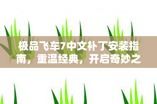 极品飞车7中文补丁安装指南,重温经典,开启奇妙之旅 极品飞车7中文补丁安装指南,重温经典,开启奇妙之旅