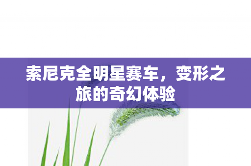 索尼克全明星赛车,变形之旅的奇幻体验 索尼克全明星赛车,变形之旅的奇幻体验
