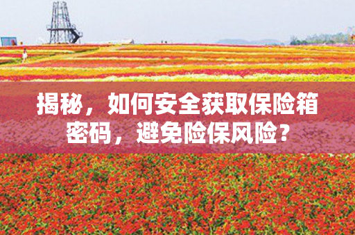 揭秘,如何安全获取保险箱密码,避免险保风险? 揭秘,如何安全获取保险箱密码,避免险保风险?