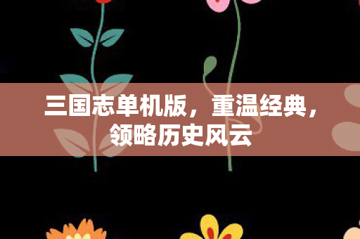 三国志单机版,重温经典,领略历史风云 三国志单机版,重温经典,领略历史风云