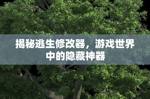 揭秘逃生修改器，游戏世界中的隐藏神器