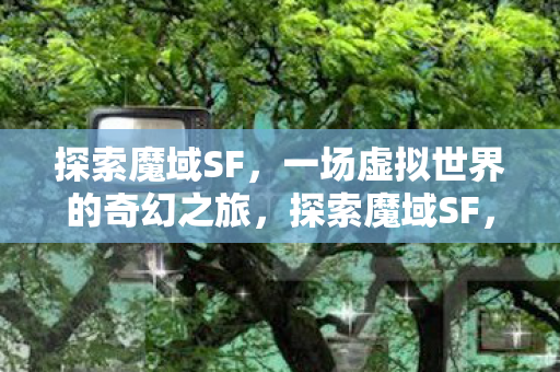 一场虚拟世界的奇幻之旅图片