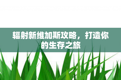 辐射新维加斯攻略,打造你的生存之旅 辐射新维加斯攻略,打造你的生存之旅