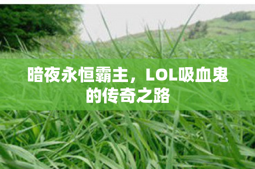 LOL吸血鬼的传奇之路图片