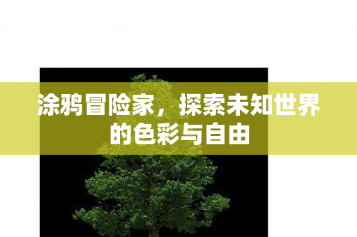 涂鸦冒险家，探索未知世界的色彩与自由