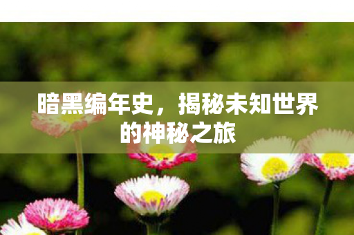 暗黑编年史,揭秘未知世界的神秘之旅 暗黑编年史,揭秘未知世界的神秘之旅