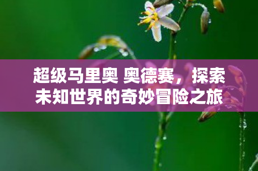 超级马里奥 奥德赛,探索未知世界的奇妙冒险之旅 超级马里奥 奥德赛,探索未知世界的奇妙冒险之旅