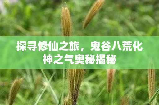 探寻修仙之旅,鬼谷八荒化神之气奥秘揭秘 探寻修仙之旅,鬼谷八荒化神之气奥秘揭秘