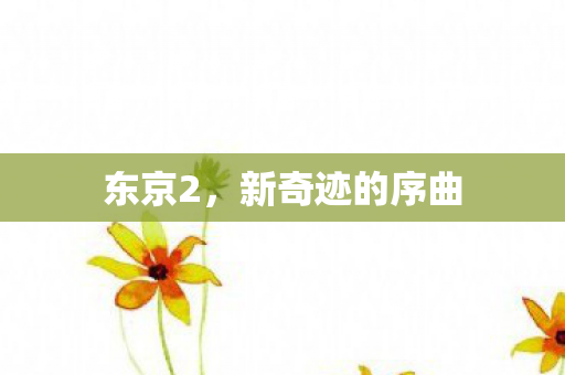 新奇迹的序曲图片