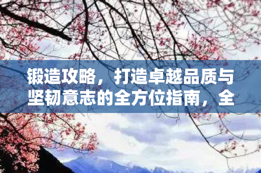 打造卓越品质与坚韧意志的全方位指南图片