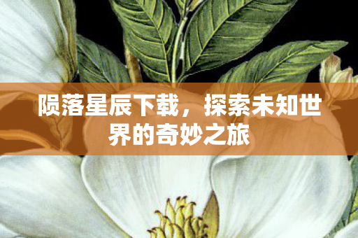 陨落星辰下载,探索未知世界的奇妙之旅 陨落星辰下载,探索未知世界的奇妙之旅