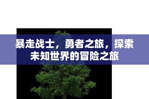 暴走战士,勇者之旅,探索未知世界的冒险之旅 暴走战士,勇者之旅,探索未知世界的冒险之旅