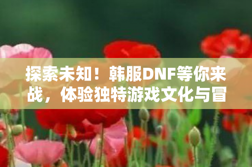 探索未知！韩服DNF等你来战，体验独特游戏文化与冒险！