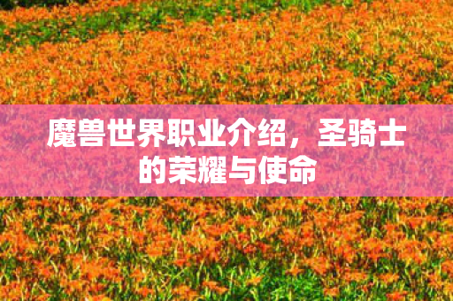 魔兽世界职业介绍,圣骑士的荣耀与使命 魔兽世界职业介绍,圣骑士的荣耀与使命