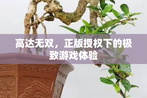 高达无双,正版授权下的极致游戏体验 高达无双,正版授权下的极致游戏体验