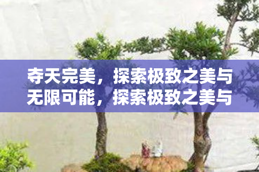 探索极致之美与无限可能图片