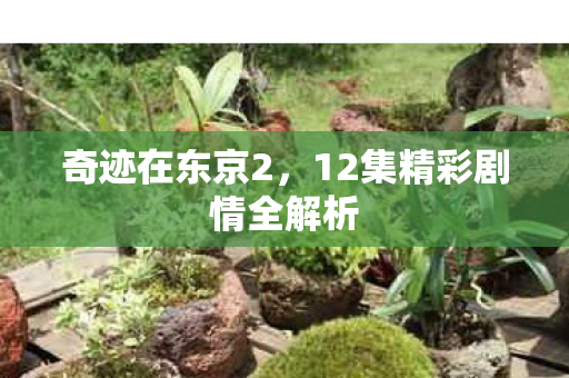 12集精彩剧情全解析图片