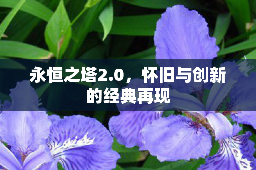 永恒之塔2.0,怀旧与创新的经典再现 永恒之塔2.0,怀旧与创新的经典再现