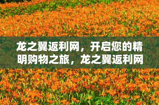开启您的精明购物之旅图片