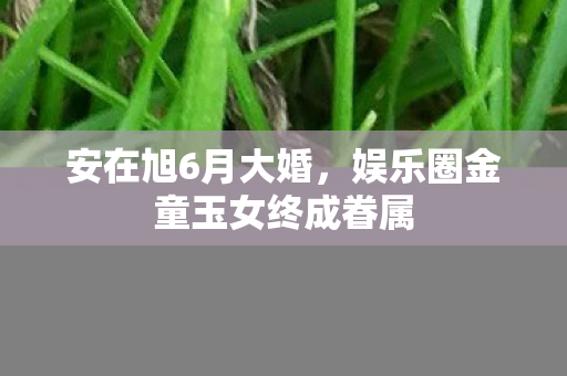 娱乐圈金童玉女终成眷属图片