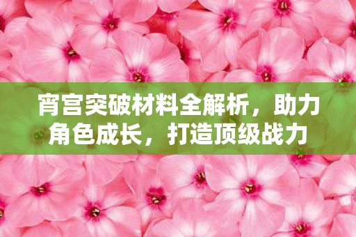 宵宫突破材料全解析图片