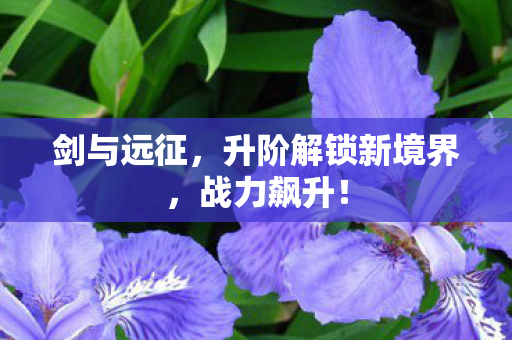 升阶解锁新境界图片