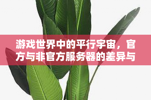 游戏世界中的平行宇宙,官方与非官方服务器的差异与共存 游戏世界中的平行宇宙,官方与非官方服务器的差异与共存