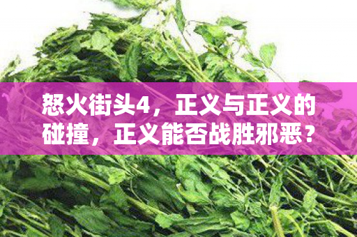 正义与正义的碰撞图片