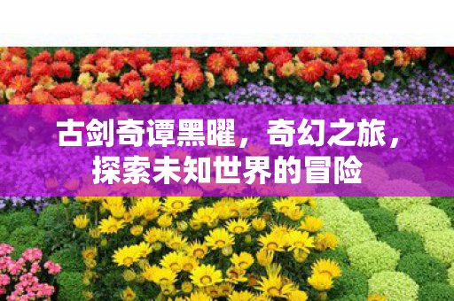 探索未知世界的冒险图片