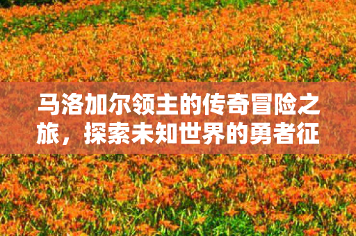 马洛加尔领主的传奇冒险之旅,探索未知世界的勇者征程 马洛加尔领主的传奇冒险之旅,探索未知世界的勇者征程