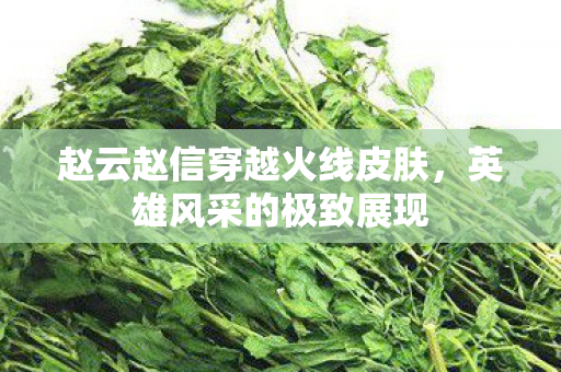 赵云赵信穿越火线皮肤图片