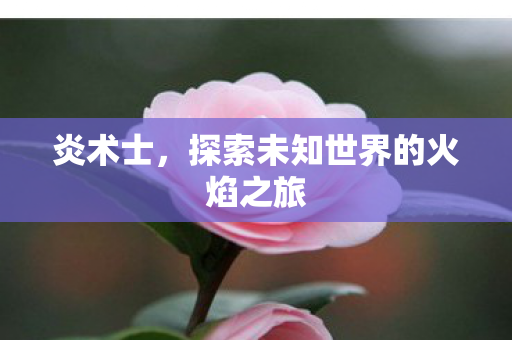 探索未知世界的火焰之旅图片