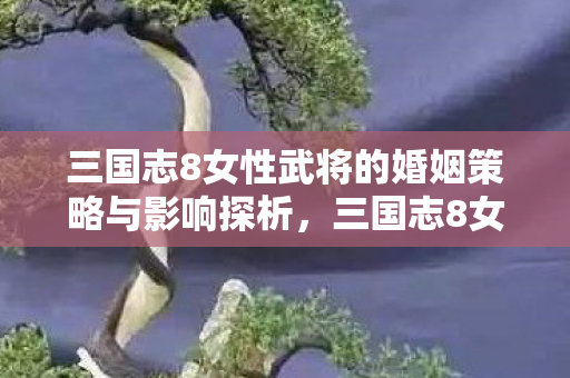 三国志8女性武将的婚姻策略与影响探析图片