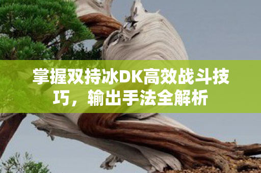 掌握双持冰DK高效战斗技巧图片