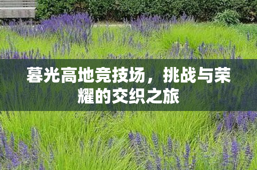 挑战与荣耀的交织之旅图片