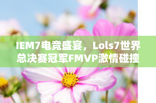 Lols7世界总决赛冠军FMVP激情碰撞图片