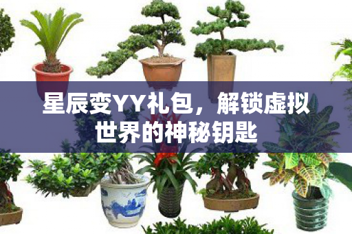 解锁虚拟世界的神秘钥匙图片